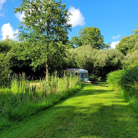 Budget Stay, In Lovely Private Setting With Rustic Charm, Log Burner, Fire Pit, Campers Kitchen & Eco Loo No Bedding Supplied ناربيرث المظهر الخارجي الصورة