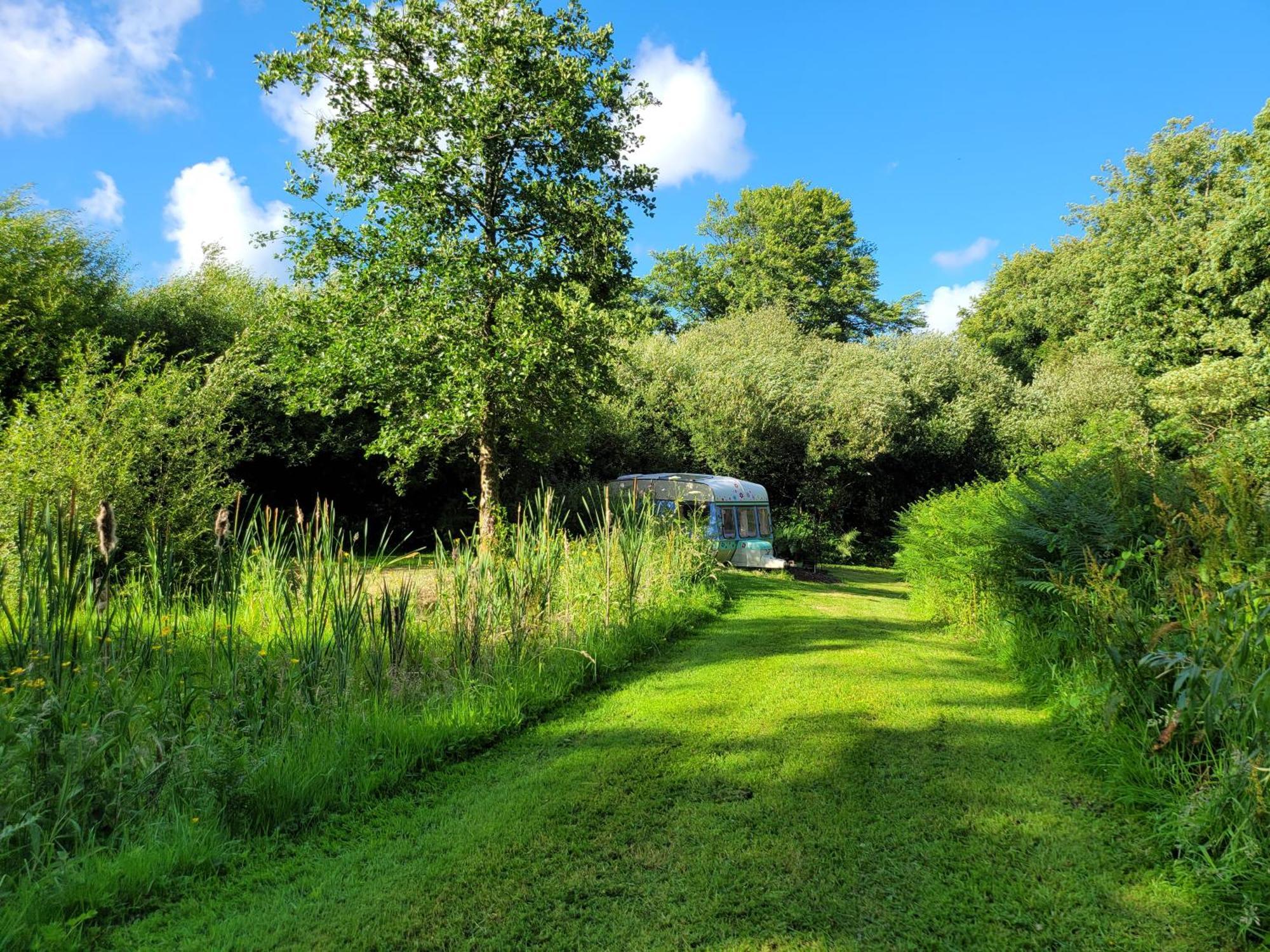 Budget Stay, In Lovely Private Setting With Rustic Charm, Log Burner, Fire Pit, Campers Kitchen & Eco Loo No Bedding Supplied ناربيرث المظهر الخارجي الصورة